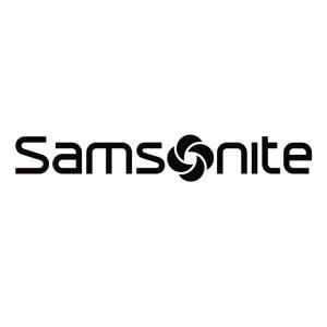 Samsonite Bags