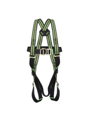 2 Point Full Body Harness