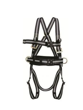 4 Point Flame Resistant Body Harness