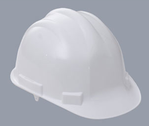 Proforce Premium Helmet