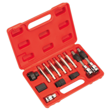 Alternator Freewheel Removal Set 13pc