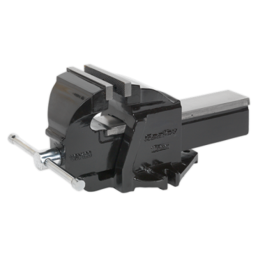 Professional Mechanic's Vice SG Iron