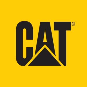 Cat Boots Mansfield