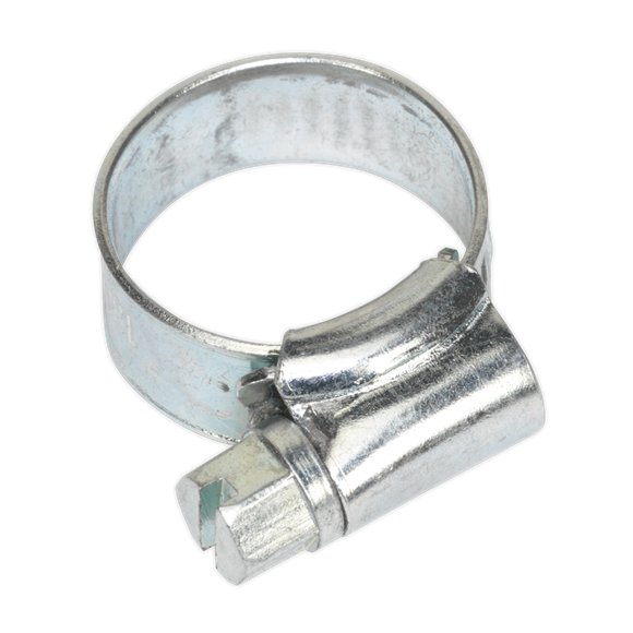 Breeze Hose Clamps